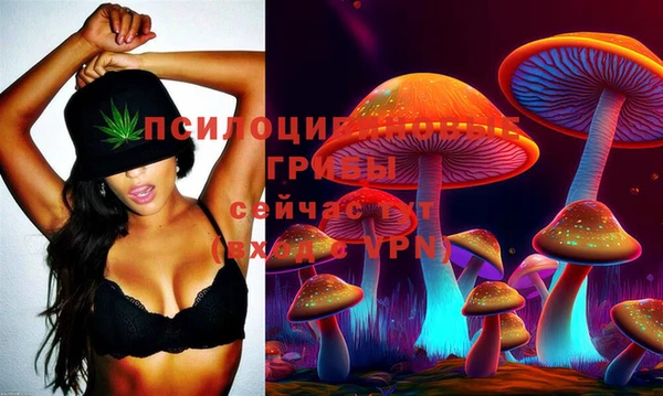скорость Аркадак