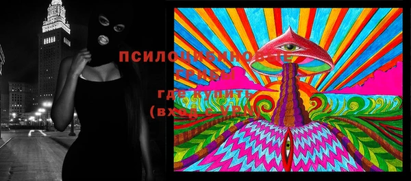 кокс Арсеньев