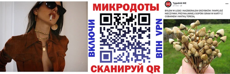 Псилоцибиновые грибы Magic Shrooms  как найти закладки  Сосногорск 